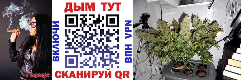 Купить наркотики цена Ленск Альфа ПВП МЕФ Гашиш