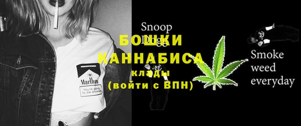 амф Нязепетровск